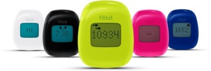 Fitbit Zip FB301C